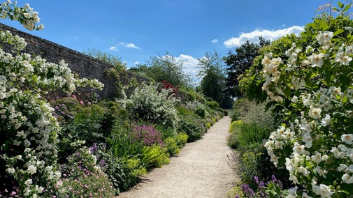 Path through colourful billowing flower borders on either side